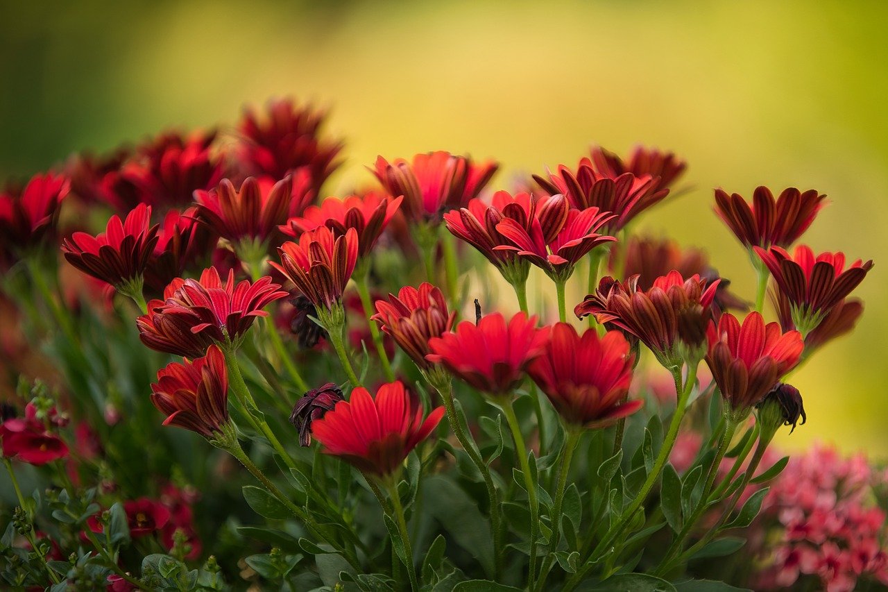 How to Grow Exotic Plants in Your Garden